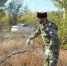 Новое в правилах утилизации растительных отходов - Каменский район